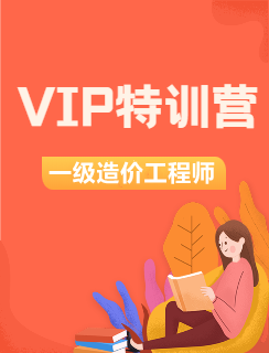 VIP特训营